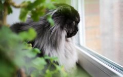 Прогноз погоди в Україні / Фото: Наталка Діденко