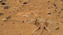 Elephant_on_Mars