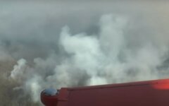 Greenpeace,Антон Геращенко,Чернобыльская АЭС,зона отчуждения,пожар в Чернобыле