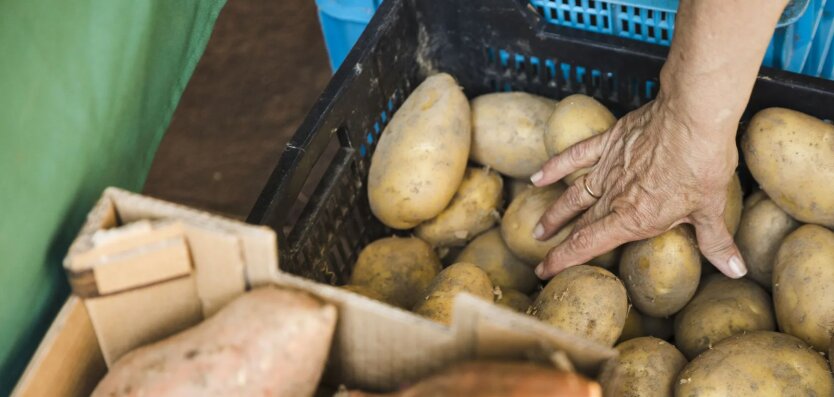 Potato prices / Photo: Freepik