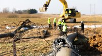 Litgrid завершил демонтаж всех участков линий электропередачи / Фото:Elta