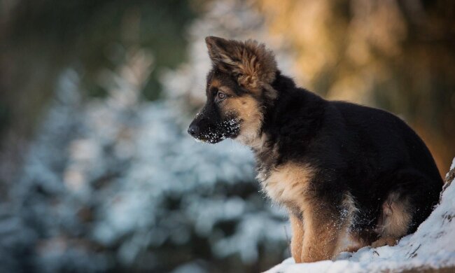Прогноз погоди в Україні