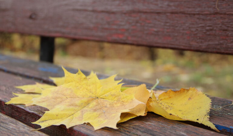 Погода в Україні