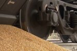 Запаси зерна в Україні, зерносховища, оон