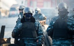 berkut