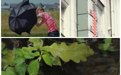 Погода в Україні, прогноз погоди, Наталя Діденко, погода в Києві