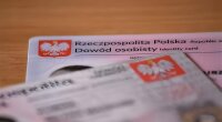 Притулок у Польщі