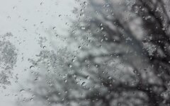 dozhd_mokryiy-sneg