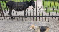 Прогноз погоди в Україні / Фото: Хвиля