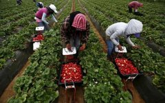 работа_Польша