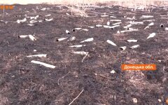 Война на Донбассе, Чехия, задержание сеператистов, воевавших против Украины на Донбассе