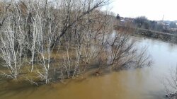 Орськ (РФ), прорив греблі