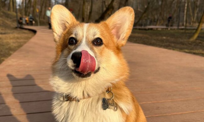 Прогноз погоды в Украине