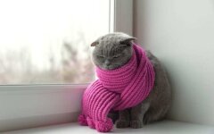 Прогноз погоди в Україні