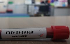 тест на коронавирус, коронавирус-тест