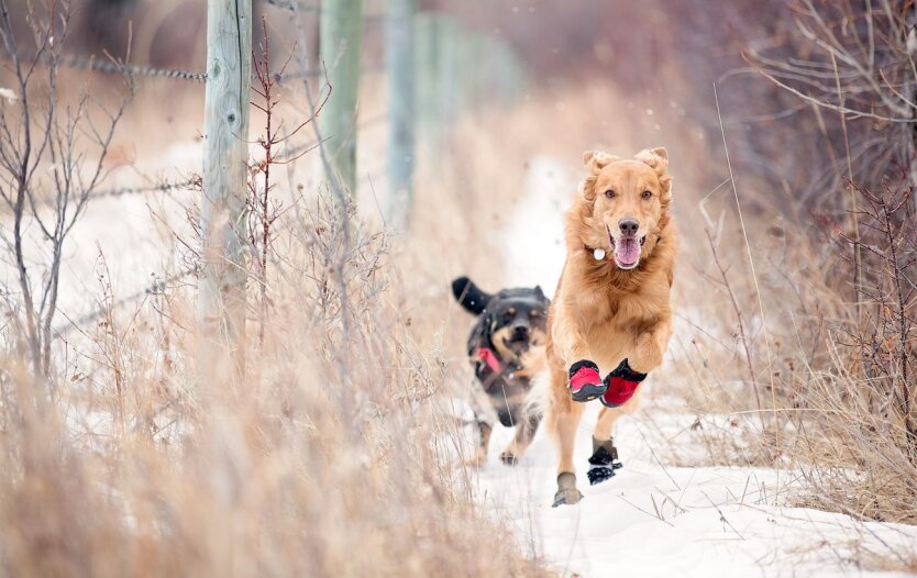 Прогноз погоди в Україні / Фото: Getty Images