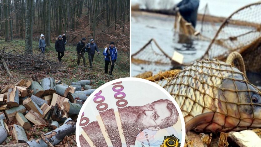 В Украине увеличили штрафы за вред природе: некоторые выросли в 28 раз
