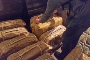 Кокаин из Аргентины доставляли для депутатов Госдумы РФ и сенаторов, - СМИ