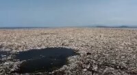 пластик в океане
