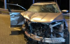 ДТП в Киевской области, Патрульная полиция Киевщины, Жертвы ДТП