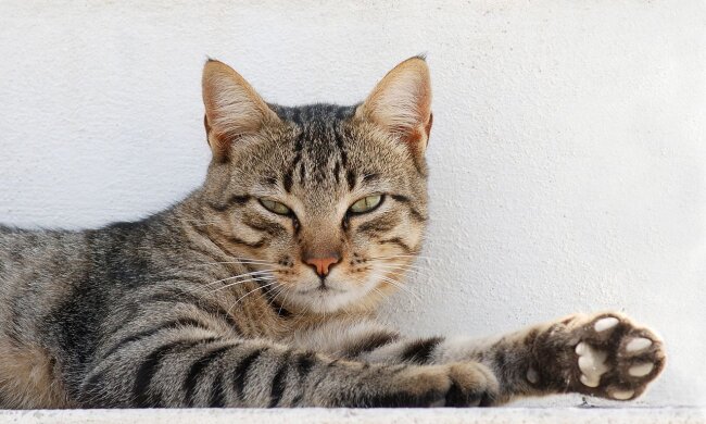 Прогноз погоды в Украине