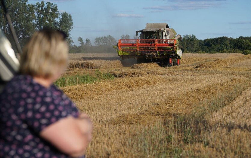 Цены на землю в Украине / Фото: Getty Images