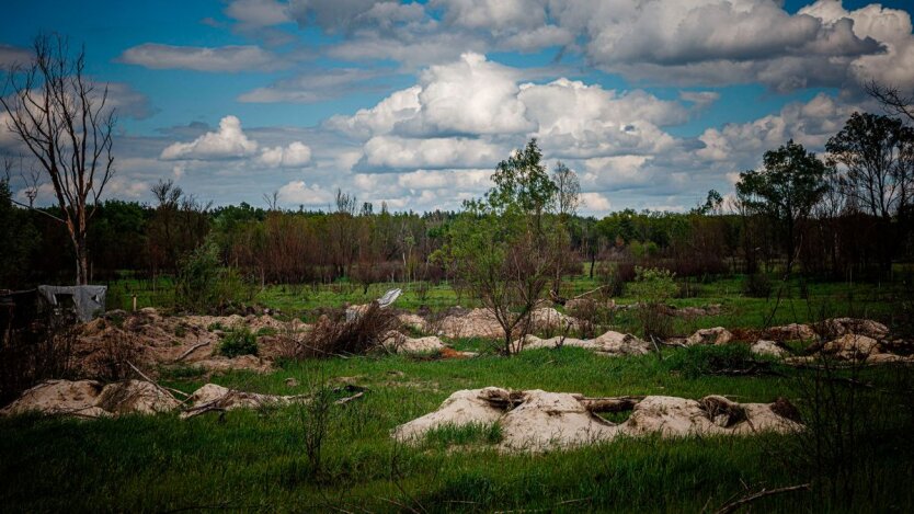 Фортифікації в Україні / Фото: Getty Images