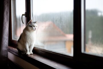 Прогноз погоды в ноябре / Фото: Envato Elements