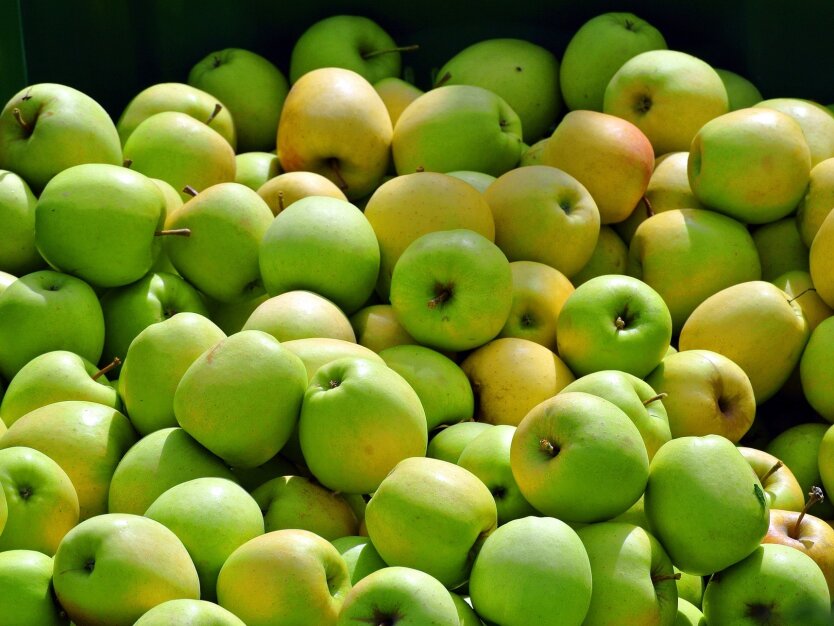 Цены на яблоки