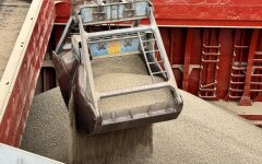 Экспорт зерна