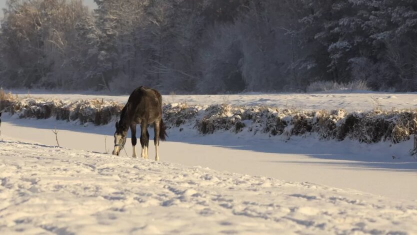 Прогноз погоди в Україні / Фото з Facebook Людмила Тонконіг