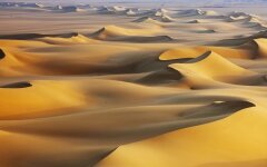 Sand-dunes