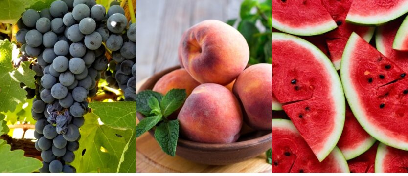Цены на виноград, персики и арбузы
