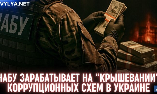 НАБУ зарабатывает на "крышевании" коррупционных схем в Украине, - Куртев