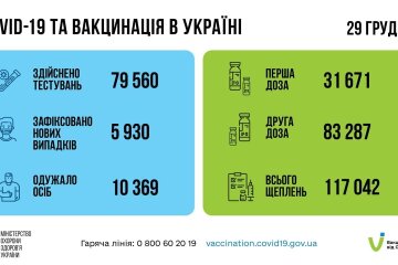 Статистика по коронавирусу на утро 30 декабря, пандемия коронавируса, коронавирус в Украине