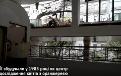 "Цветы Украины", Киев, исторический магазин
