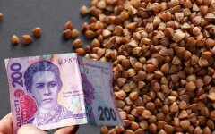 Цены на гречку в украине, гречка подорожала