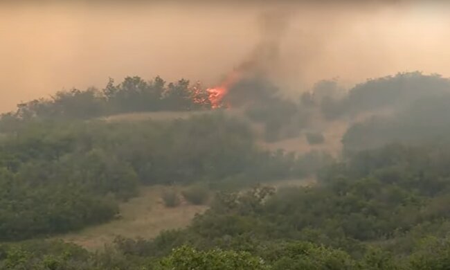 Лесные пожары в США