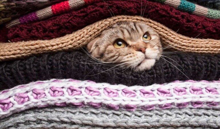 Прогноз погоди в Україні