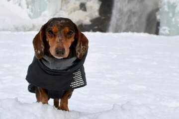 Прогноз погоди в Україні / Фото youdidwhatwithyourweiner.com