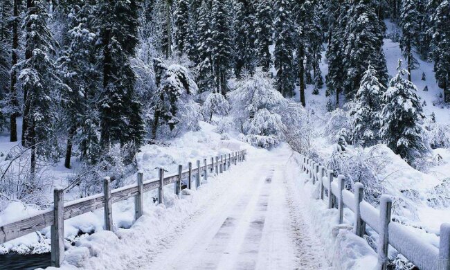 Прогноз погоды в январе