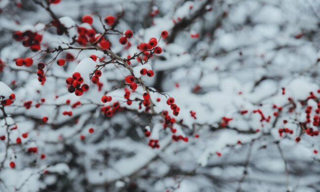 Прогноз погоды в Украине / Фото: pexels