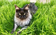 Прогноз погоди