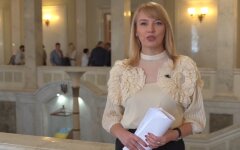елена шуляк
