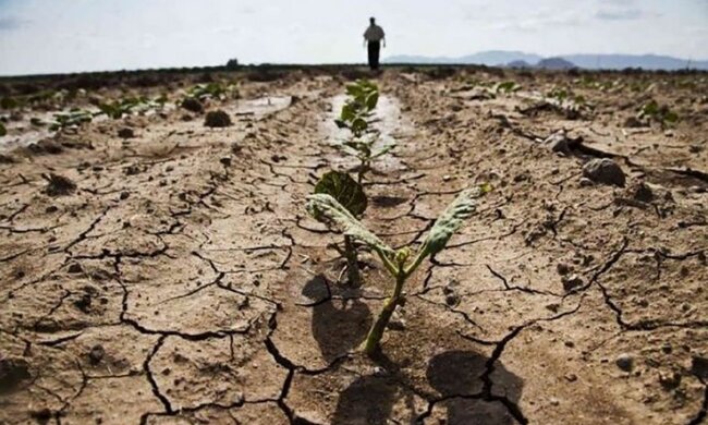 Посуха в Україні / Фото: agro-yug.com.ua
