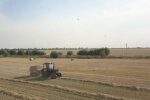 Земля в Украине, сколько стоит продать пай, рынок земли в Украине
