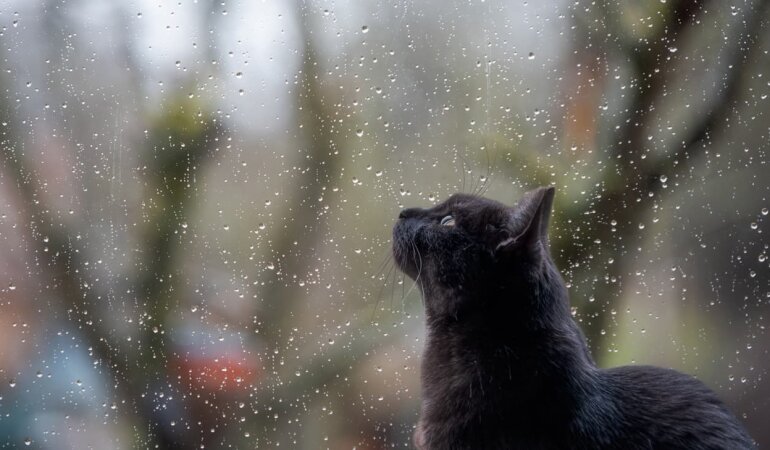 Прогноз погоды в Украине / Фото: Getty Images