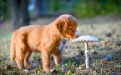 Прогноз погоды в Украине / Фото: depositphotos.com