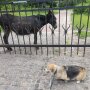 Прогноз погоды в Украине летом / Фото: Хвиля