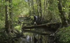 Прогноз погоды, погода в Украине